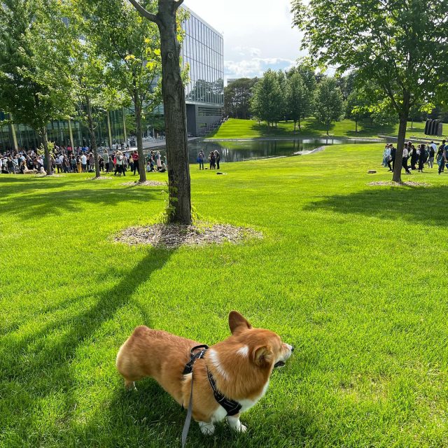 Instagram image by General Mills Headquarters